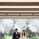 밝은헤어 | [클로저스냅] 상록아트홀/아트홀/밝은홀/본식스냅/반묶음/본식헤어/본식후기