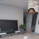 펫미나무 이미지