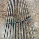 램맨양꼬치 이미지