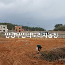 우암농장 네이버블로그