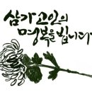 야은로-23 Daum카페