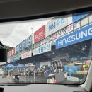미성 | travel no.3) 영덕/낚시 구산항/벵에돔/비사이드 풀빌라 펜션/영덕낚시/교동 미로/돼지파티