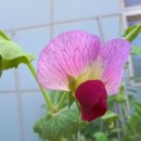 능허대중학교 이미지