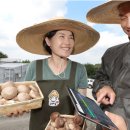 광이농장 이미지