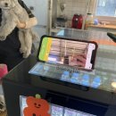 에떼르넬 슈슈 이미지