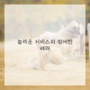 반포스타일