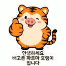 데이 데이 | [부산/해운대/우동]영남돼지(2026.04) - 가족 외식, 회식하기 좋은 해운대 현지인 맛집 솔직후기