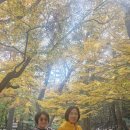 2025년11월 26일 수요일. 금강공원~부산대역~온천장역 이미지