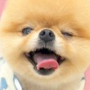 모쿠816 네이버블로그