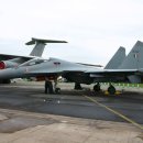 RIAT 2007 에어쇼에 참가한 인도공군 SU-30MKI 전투기 이미지