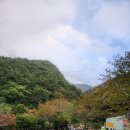 스마트펜션 | 단양의 아름다움 속에서 특별한 시간을 보낸 단양펜션의 스마트펜션 후기