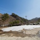 자연향기민박 이미지