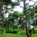 동림1리 이미지