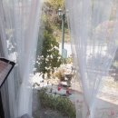 기찻길느린풍경 이미지