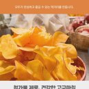 별똥밭