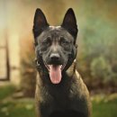 나음동물병원 이미지