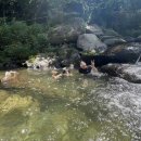 에뜨유명산캠핑장 이미지