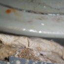 신명로 | 양산누수탐지 잘하는곳 덕계 동일스위트 1차 아랫집 천장 젖음 해결 후기!