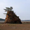 대산아파트경로당 이미지