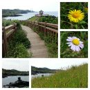 남생이못 이미지