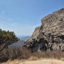 표충사탐방로(=작전도로) | 천황산 재약산 연계 등산 코스 후기 [케이블카 없이 표충사 환종주 코스]