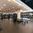 아인스 휘트니스 이미지