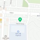 국가대표대한실전태권도장 이미지