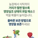 과일채소