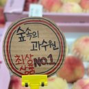 숲속의과수원 이미지
