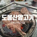 도봉산 | [도봉산맛집] 숯불에 두툼한 양갈비 제대로 구워먹는 &#34;도봉산양고기&#34; 내돈내산 후기