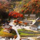 칠장사 사적비 이미지