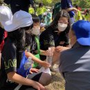 부림초등학교봉수분교장 이미지