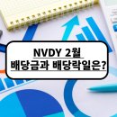 엔비디