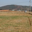 윤희농장 이미지