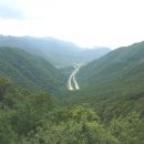 내게온