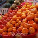 서광유통 - 이천시 가좌로103번길 34-55 | 서광유통