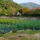 알프스공인중개사사무소 이미지