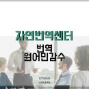 자연번역센터