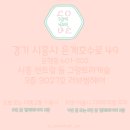린헤어캐슬