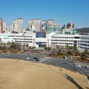 중앙동159 이미지