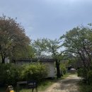 플레이독애견카페 | 애견운동장 양주 애견카페 네이처독 내돈내산 방문 후기