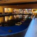 물만난고기 이미지