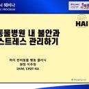 코리아동물병원 이미지