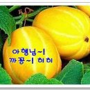 의림주유소 이미지