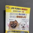 서대구자동차공업사 | 미루고 미루던 숙제 운전면허 서대구자동차운전면허학원에서 취득 후기(1종 보통 자동 면허)