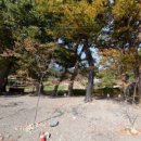 천하마을야영장 이미지