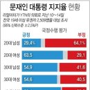 문재인 대통령의 20대 남성 지지율 하락...그반대로 전연령별, 성별 지지율과 비교, 분석해보자. 이미지