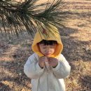 읍성길 | [남해여행 3일차] 아기둘과 여행중~ 금목서/광양대한식당/남해충렬사/동천식당