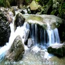 지장산 등산로 이미지