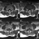 원성경희한의원 이미지